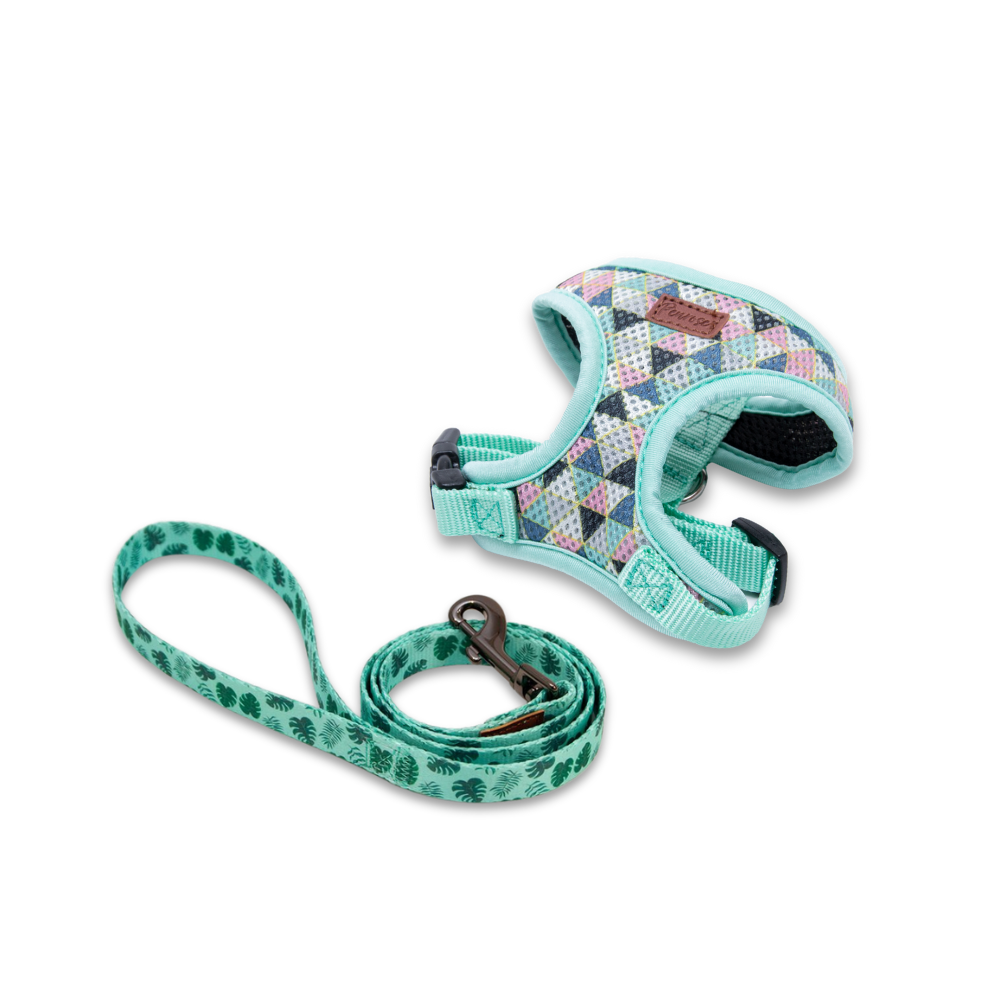 Dog Collars, Leads & Harnesses